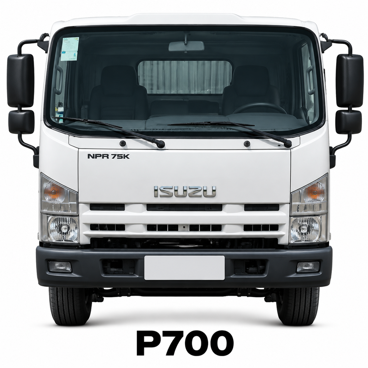 ایکون پی 700